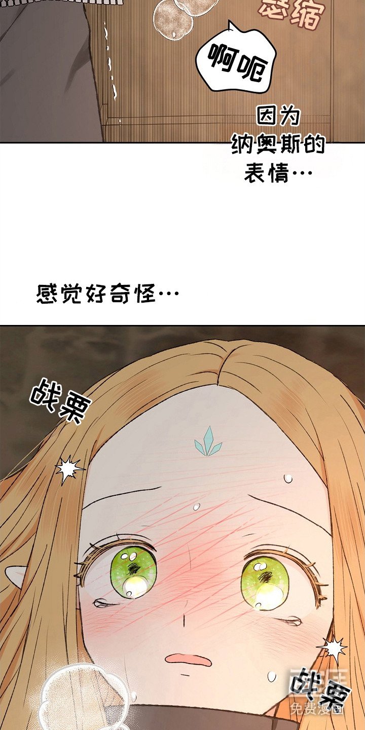 第6章：无奈之举