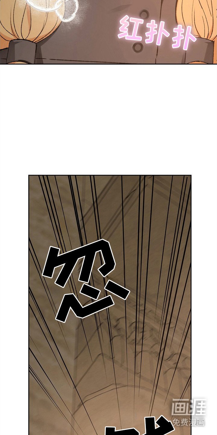第6章：无奈之举