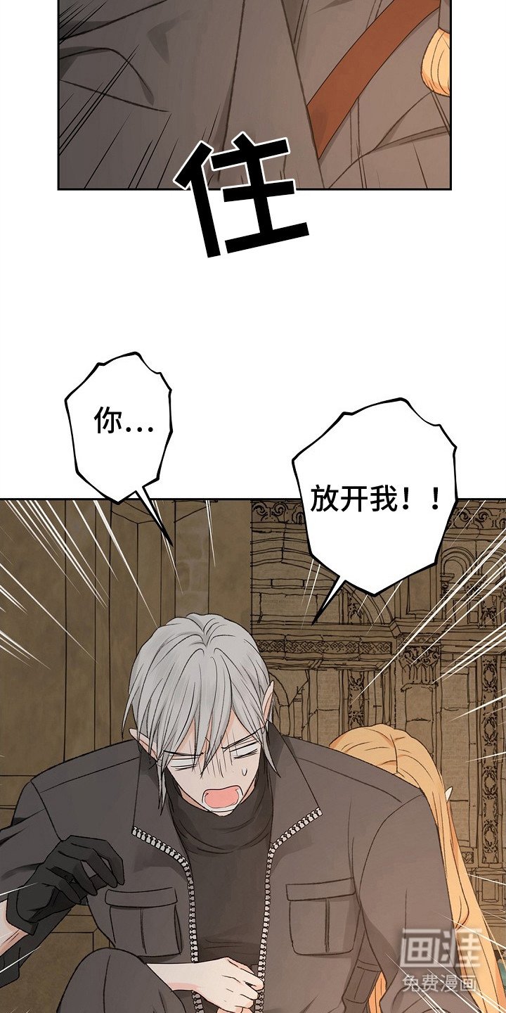 第6章：无奈之举