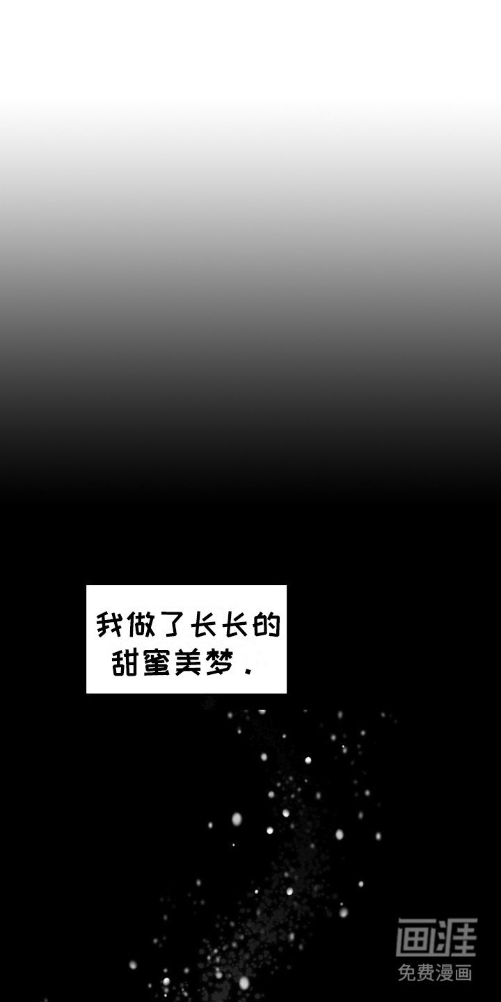 第1章：王女与圣骑士