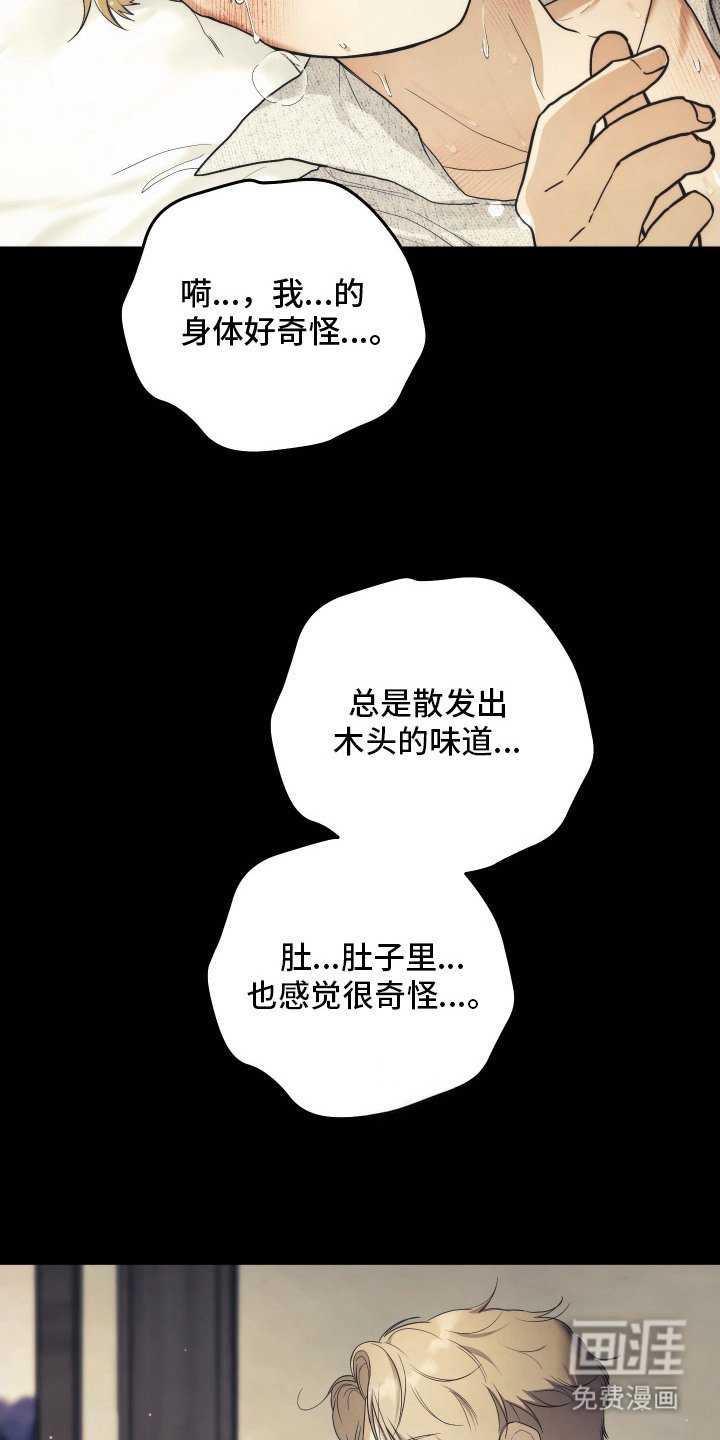 第10章：神志不清