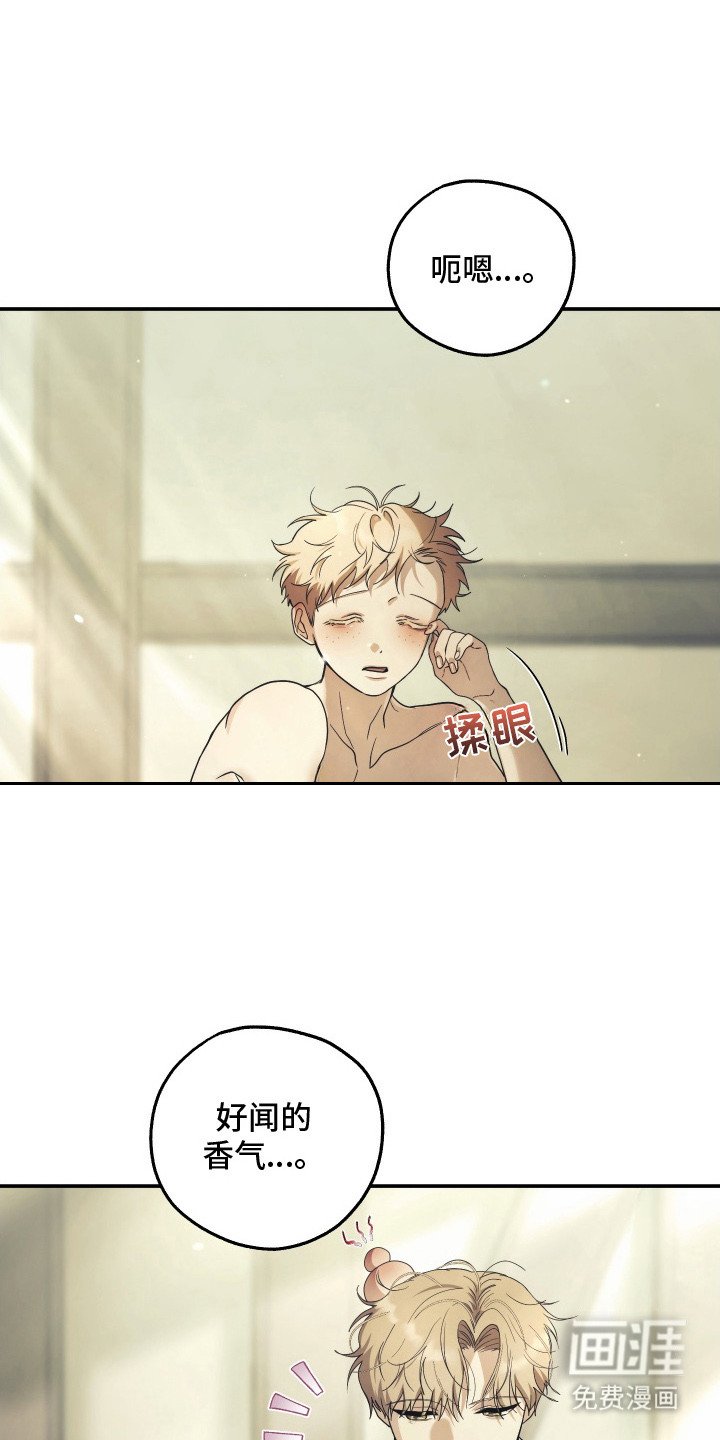 第11章：抑制剂