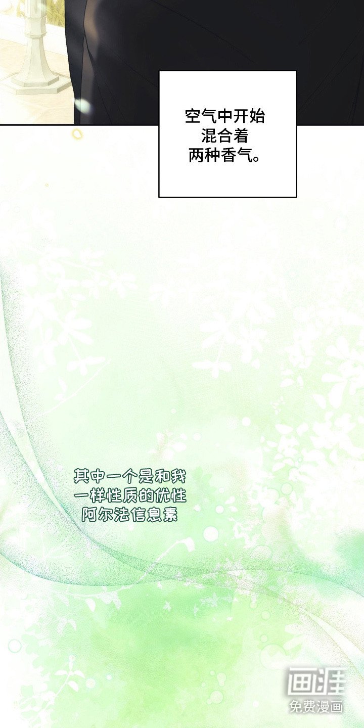 第14章：混合香气