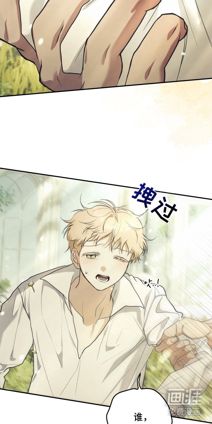 第14章：混合香气
