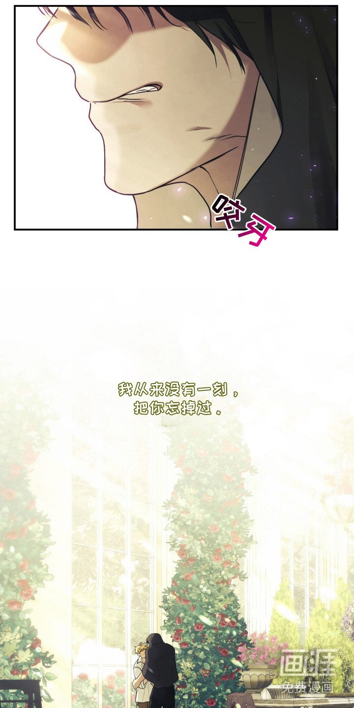 第16章：很想你
