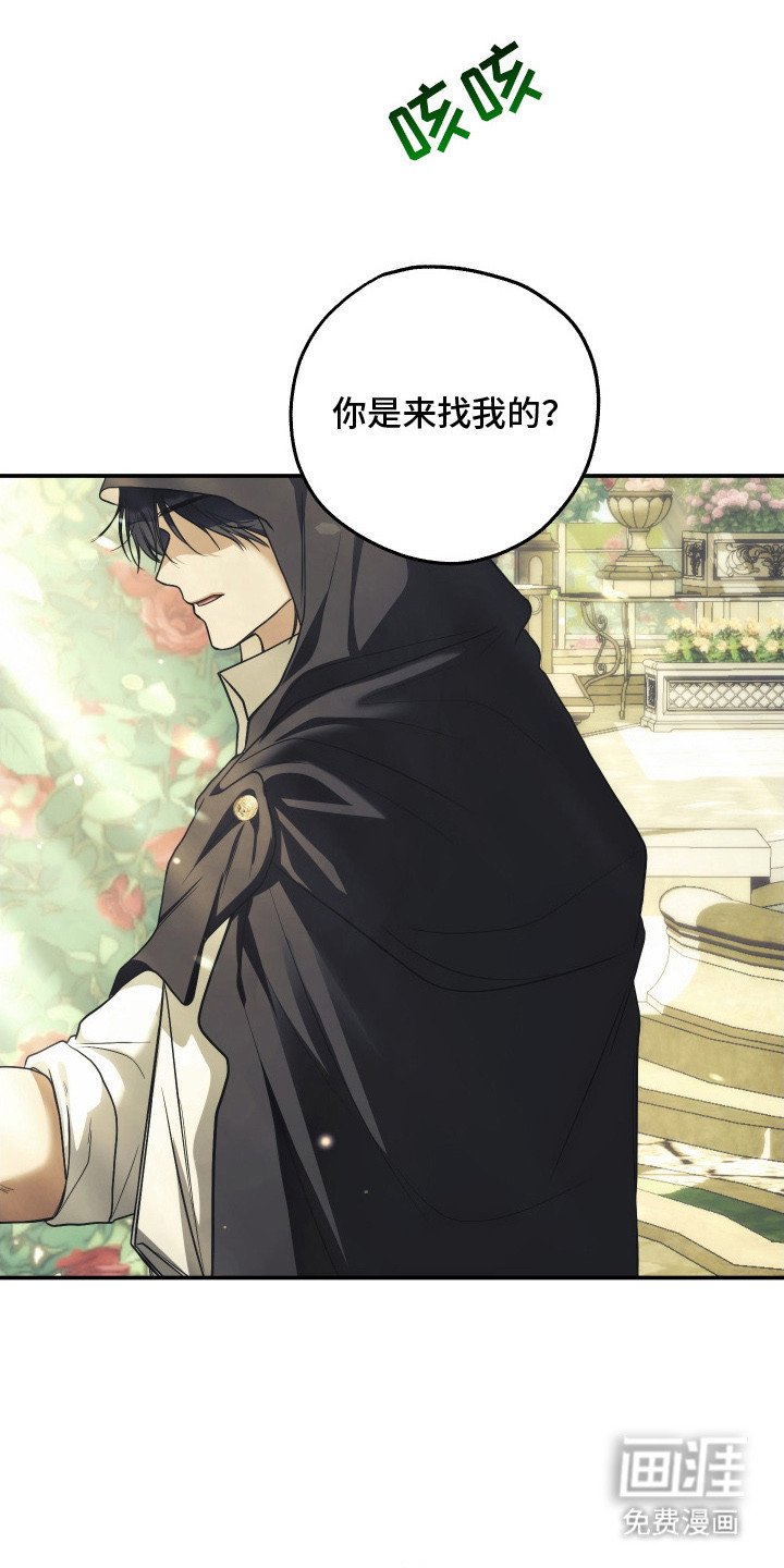 第16章：很想你