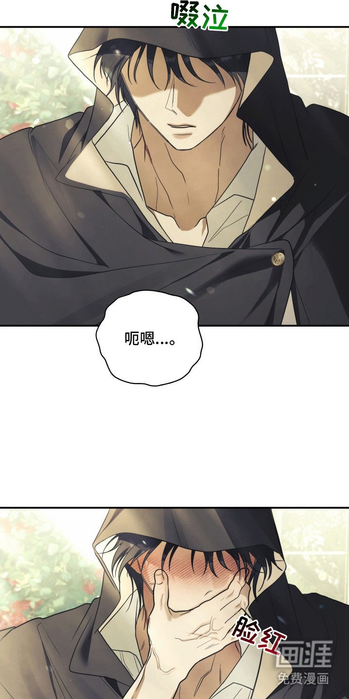 第16章：很想你