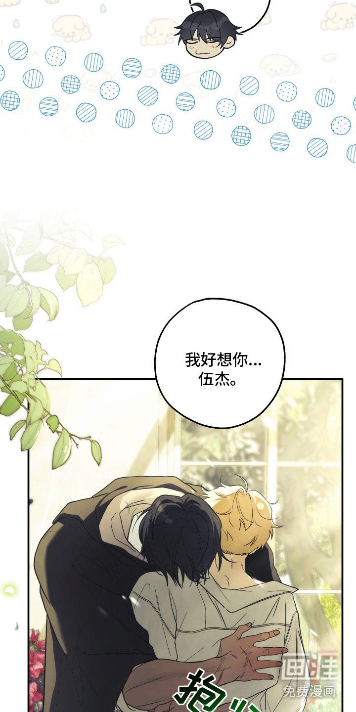 第16章：很想你