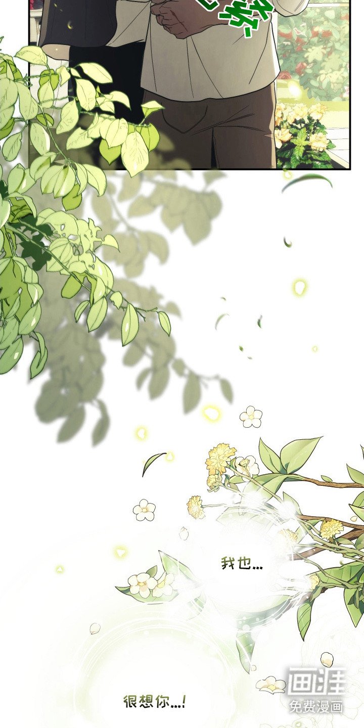 第16章：很想你