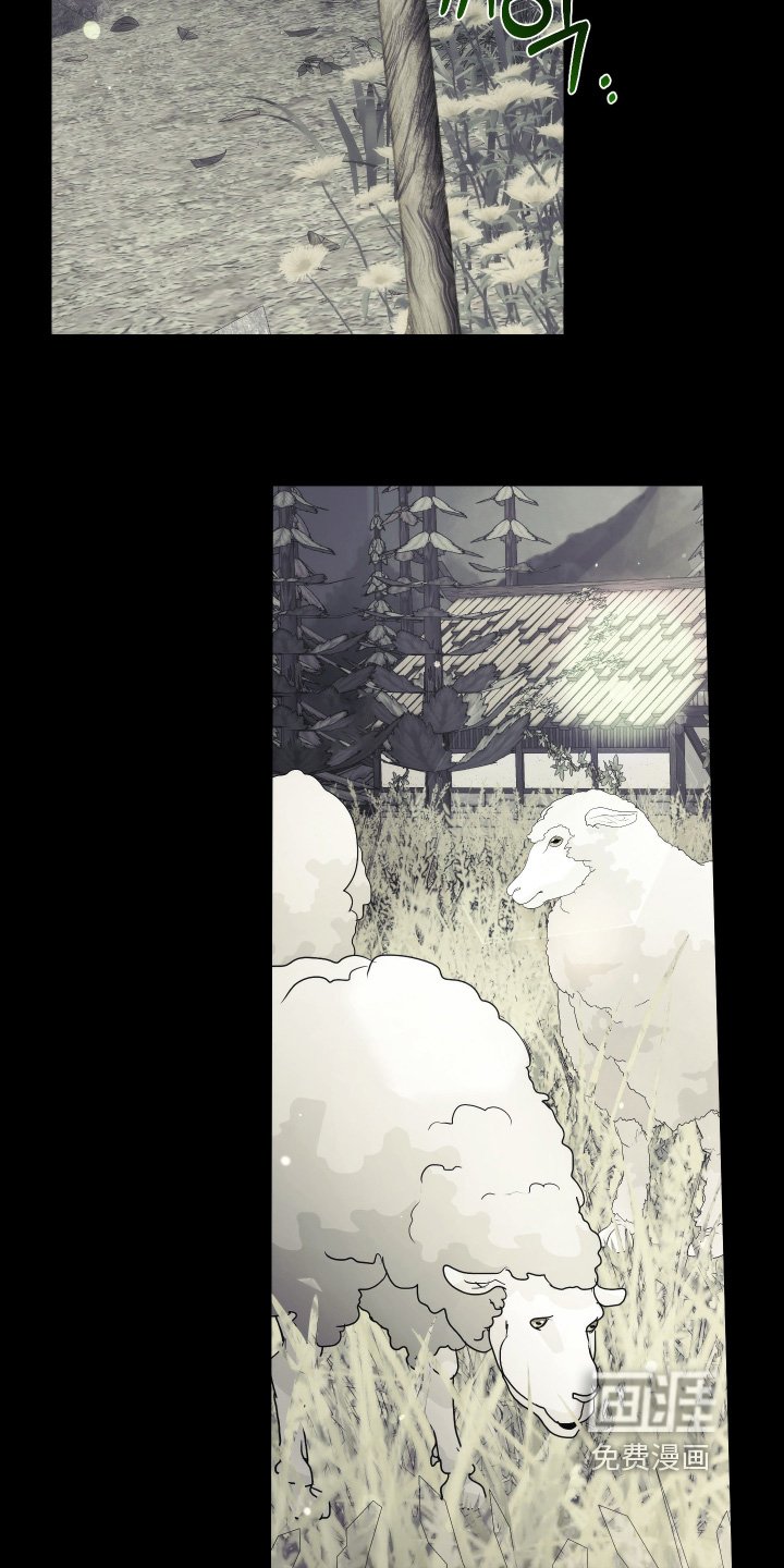 第18章：不需要同情