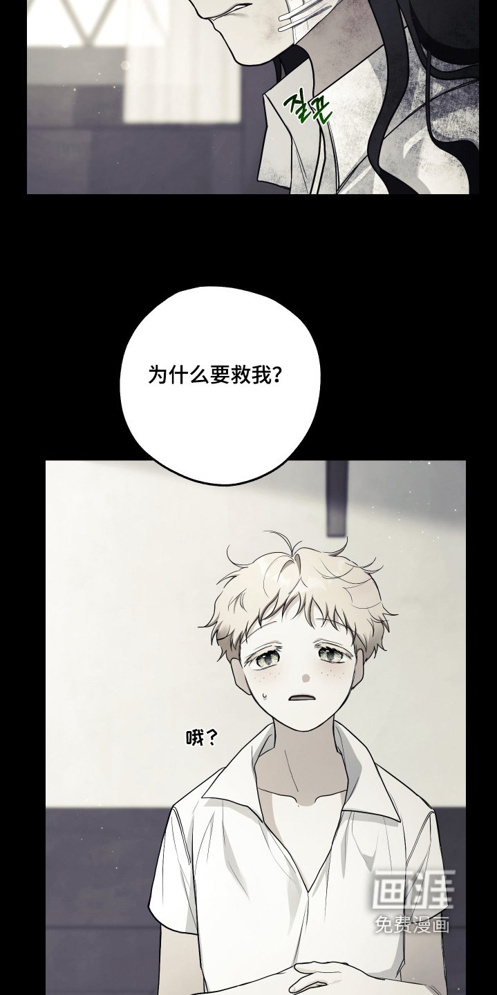 第18章：不需要同情