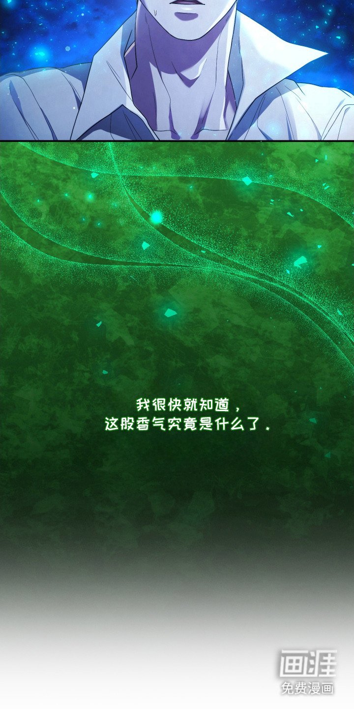 第9章：发热期