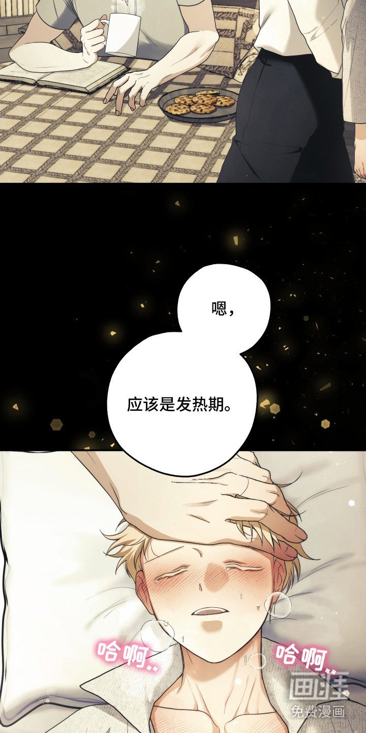 第9章：发热期