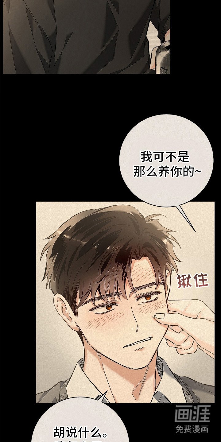 第19章：思绪万千