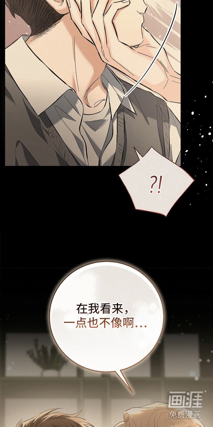 第19章：思绪万千