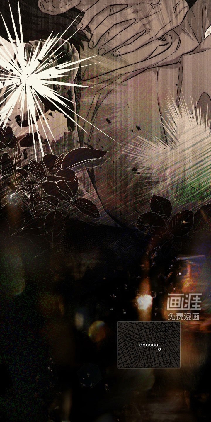 第37章：采访