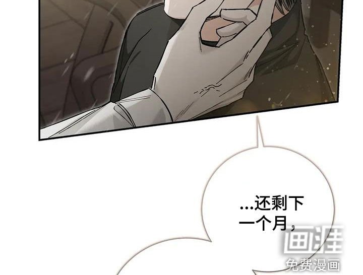 第39章：还不如喜欢我