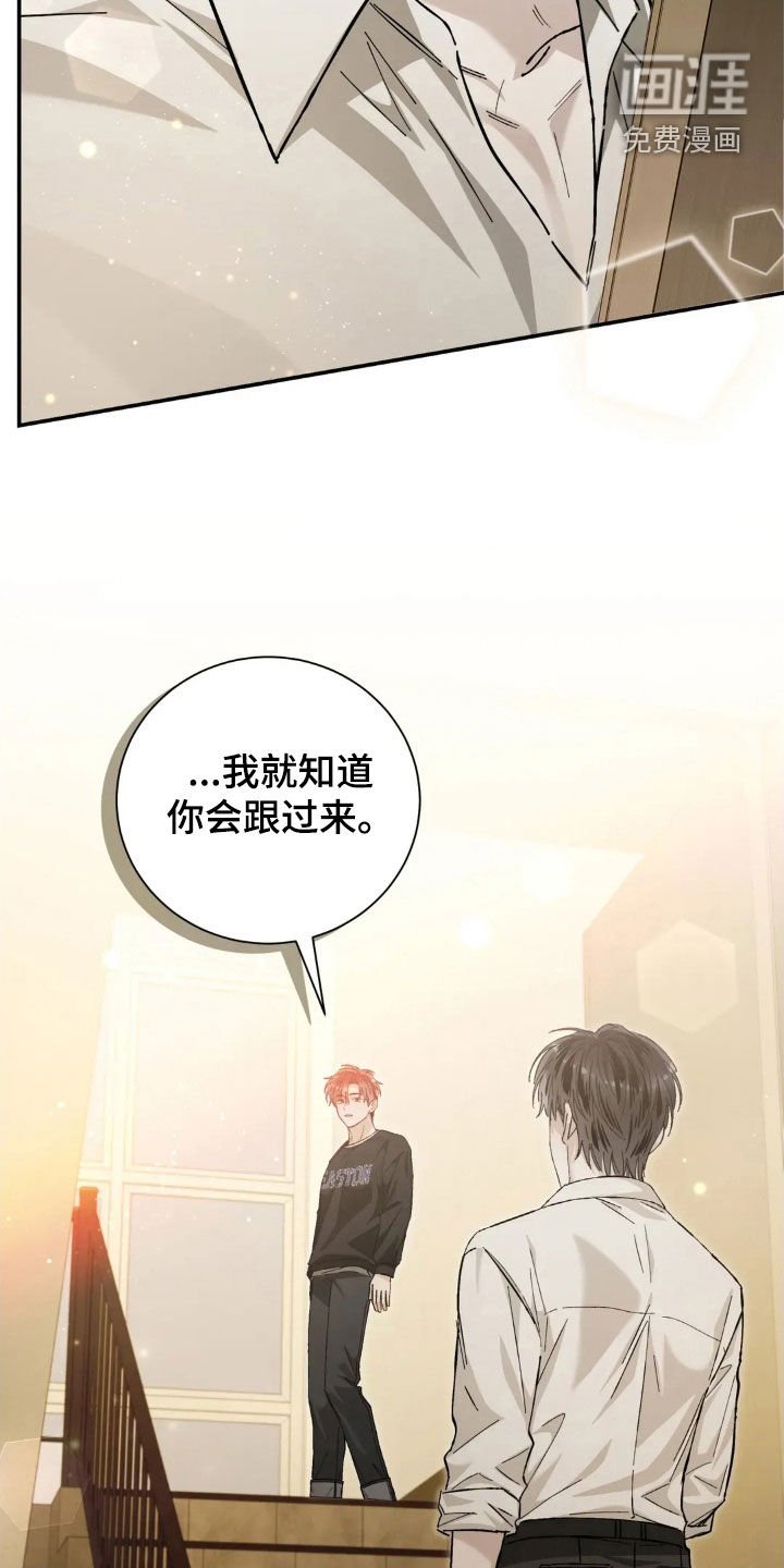 第43章：喜欢的人