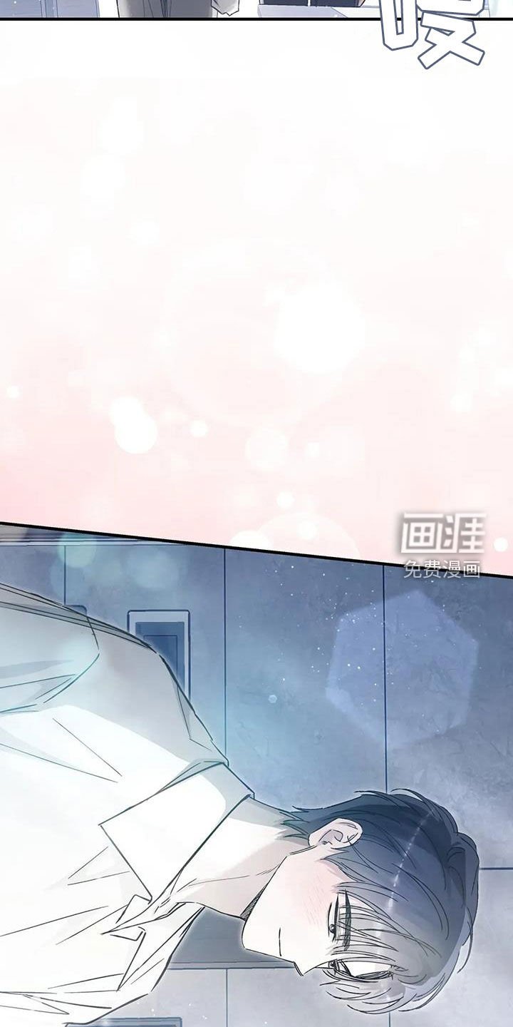 第56章：协议