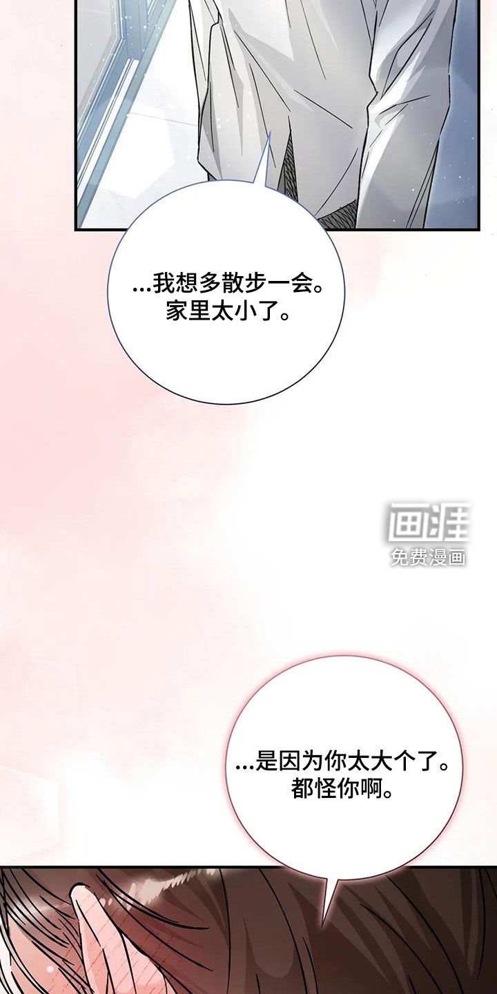 第56章：协议