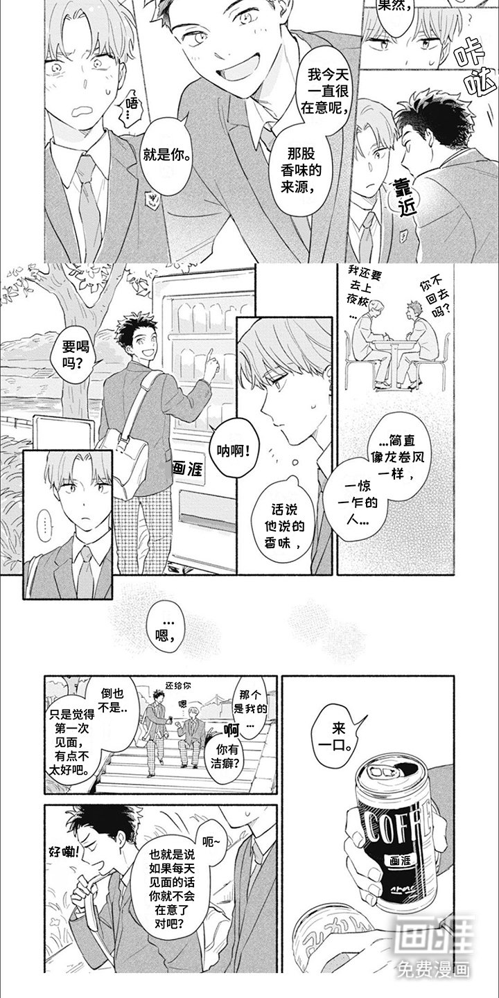 第12章：香味来源