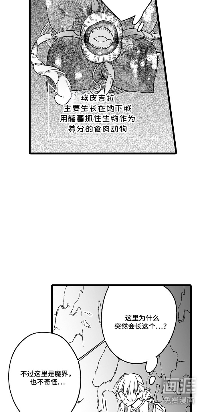 第11章：埃皮吉拉