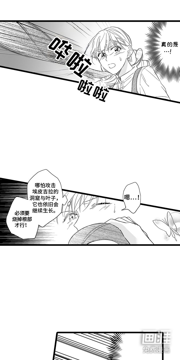 第12章：字面意思