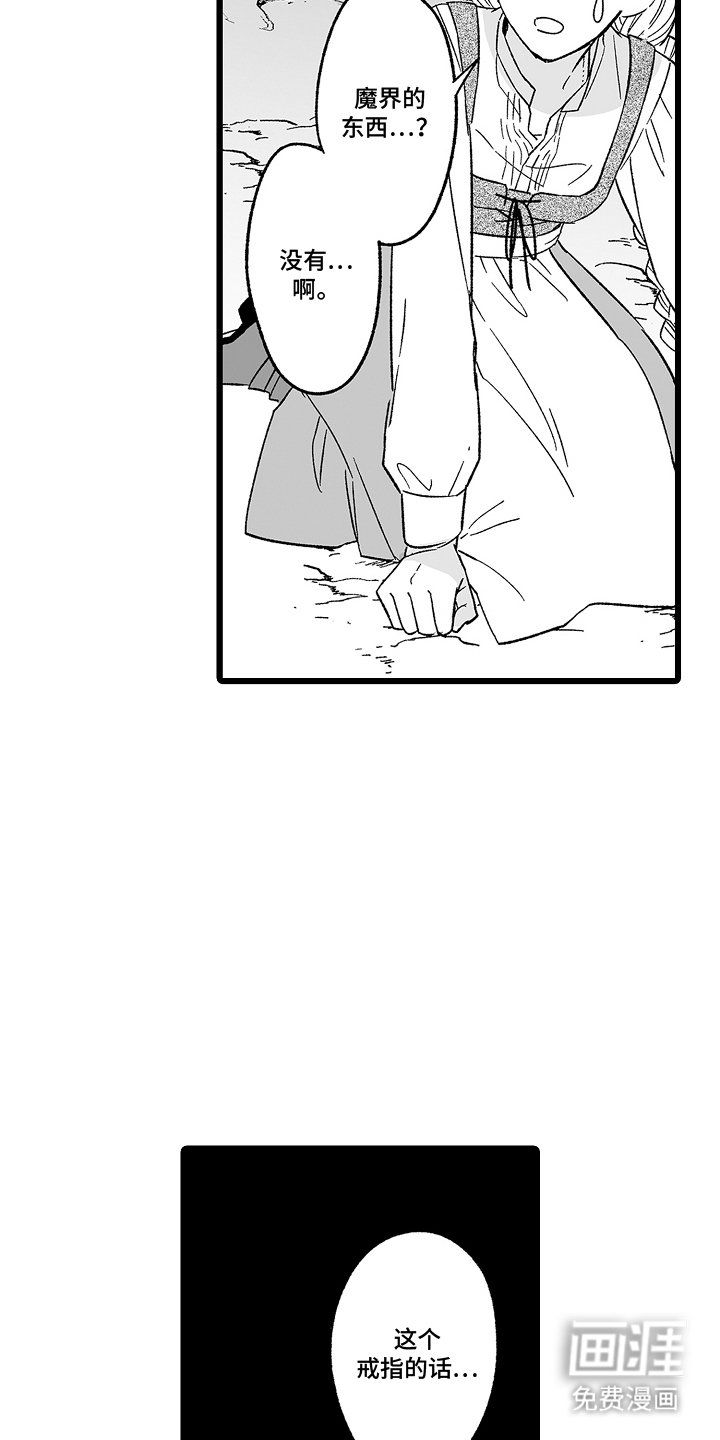 第12章：字面意思