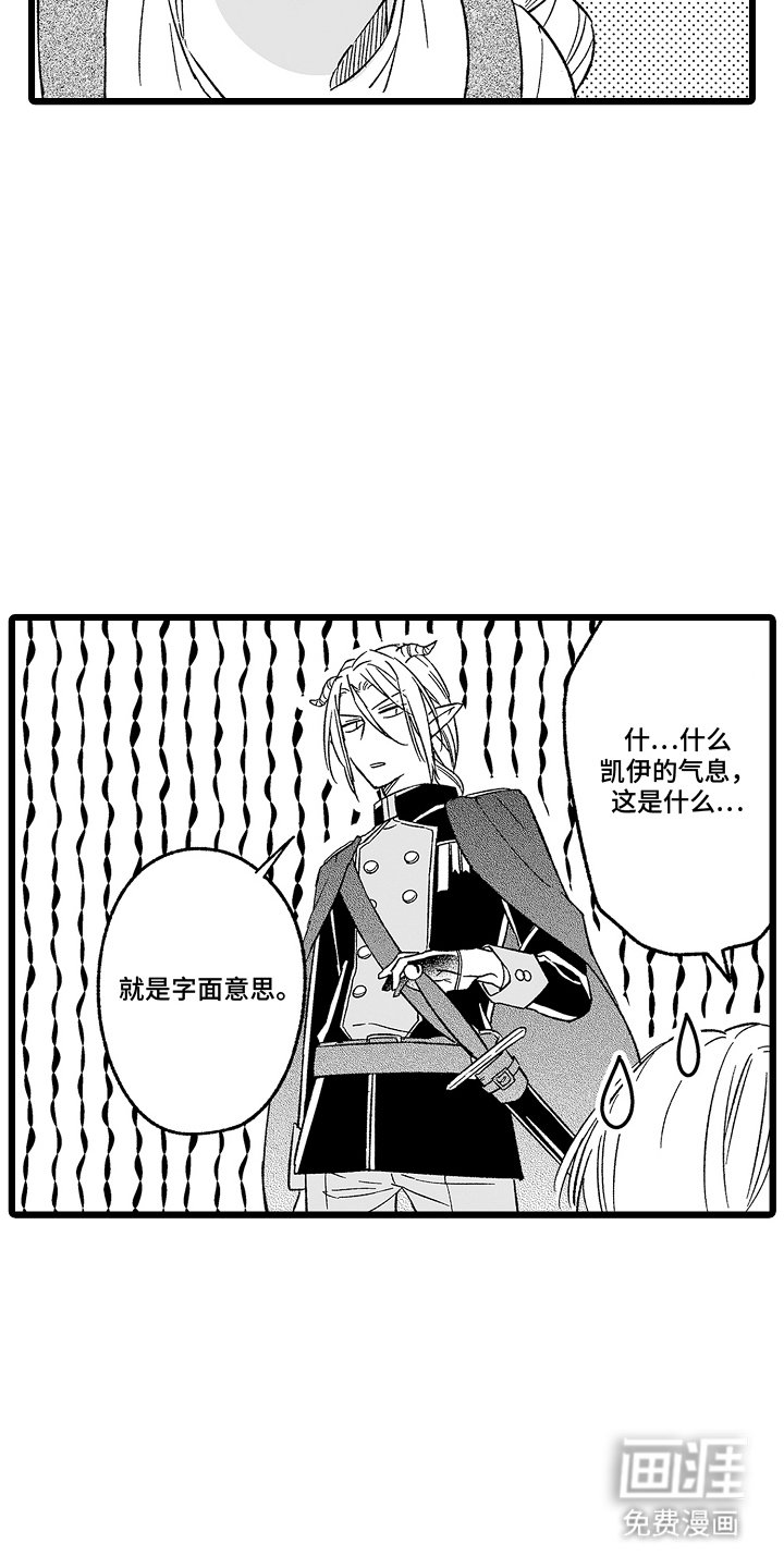 第12章：字面意思