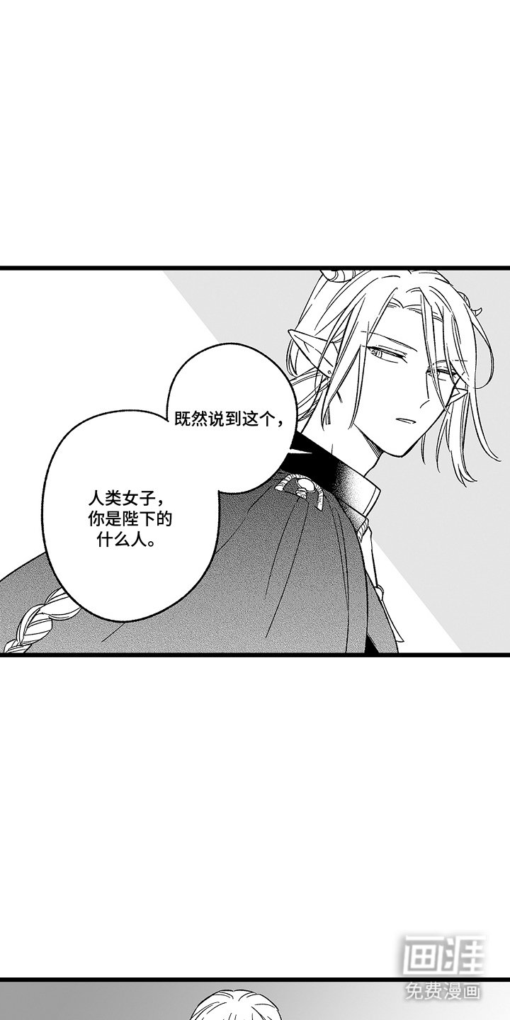 第12章：字面意思