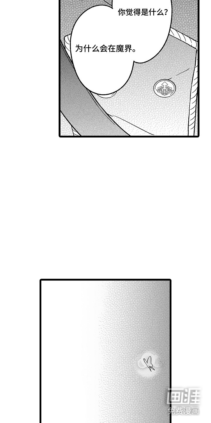 第12章：字面意思