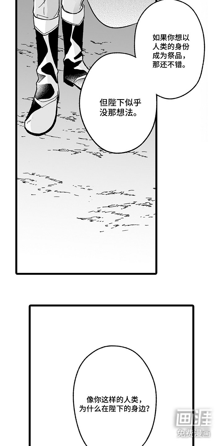 第12章：字面意思