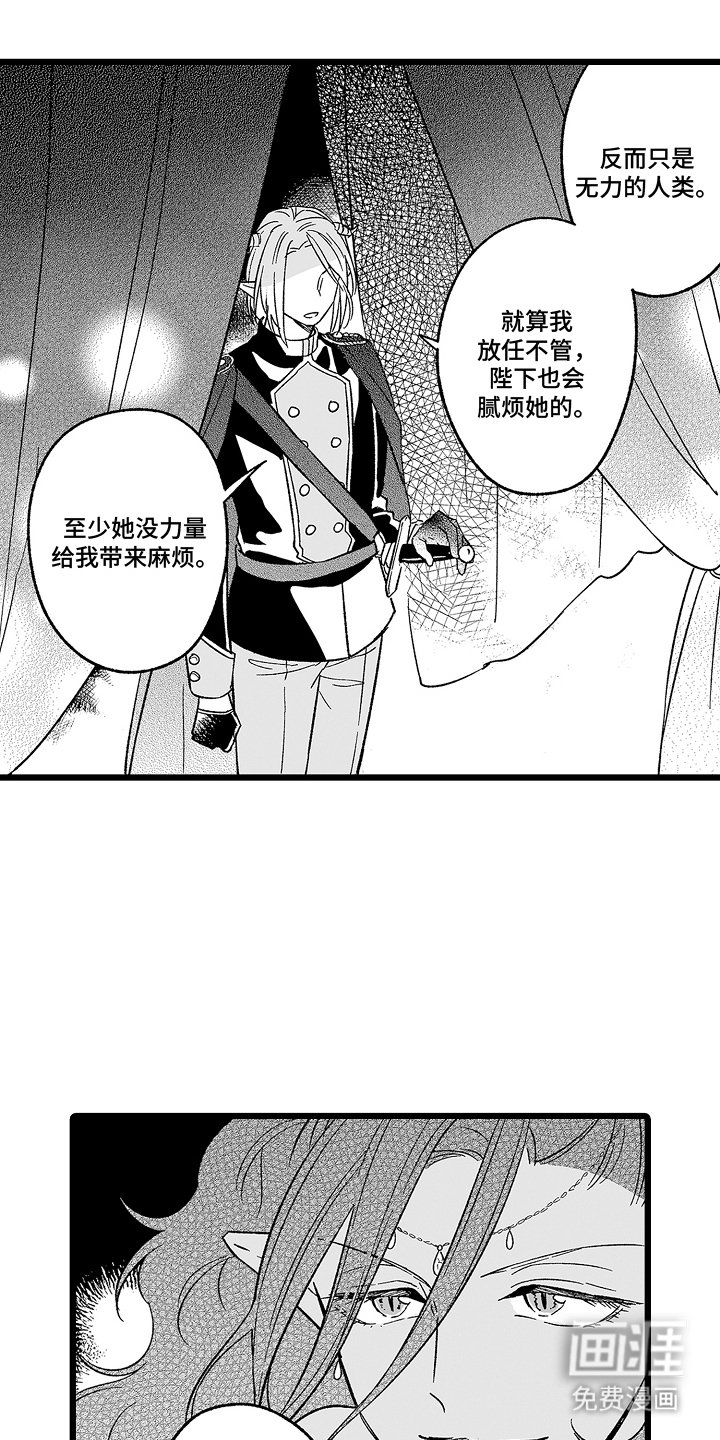第15章：提议