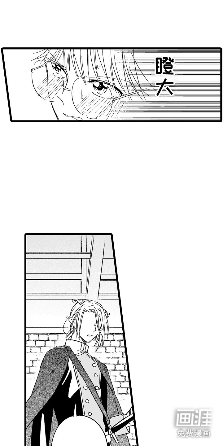 第17章：真假
