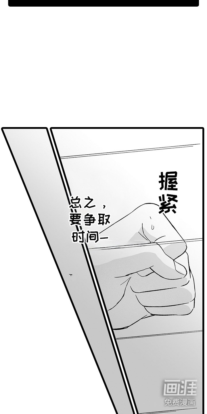 第17章：真假