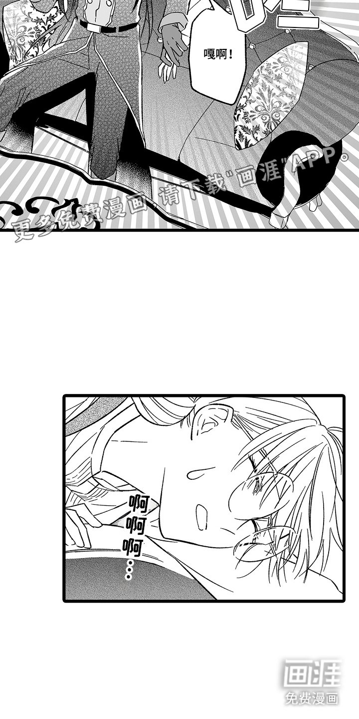 第17章：真假