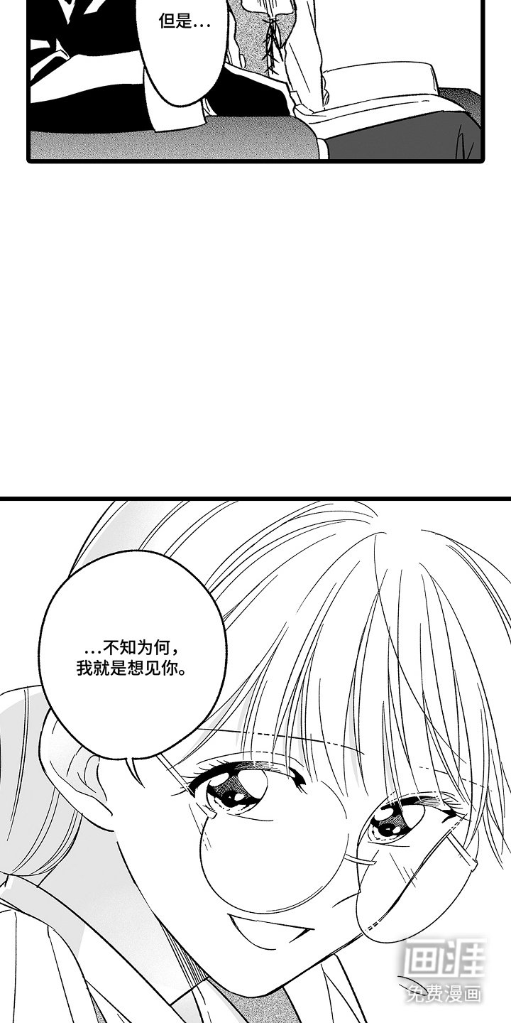第17章：真假