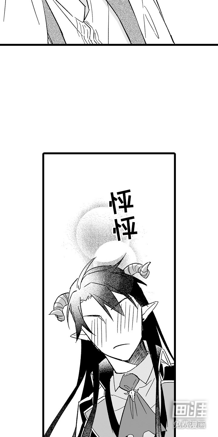 第17章：真假