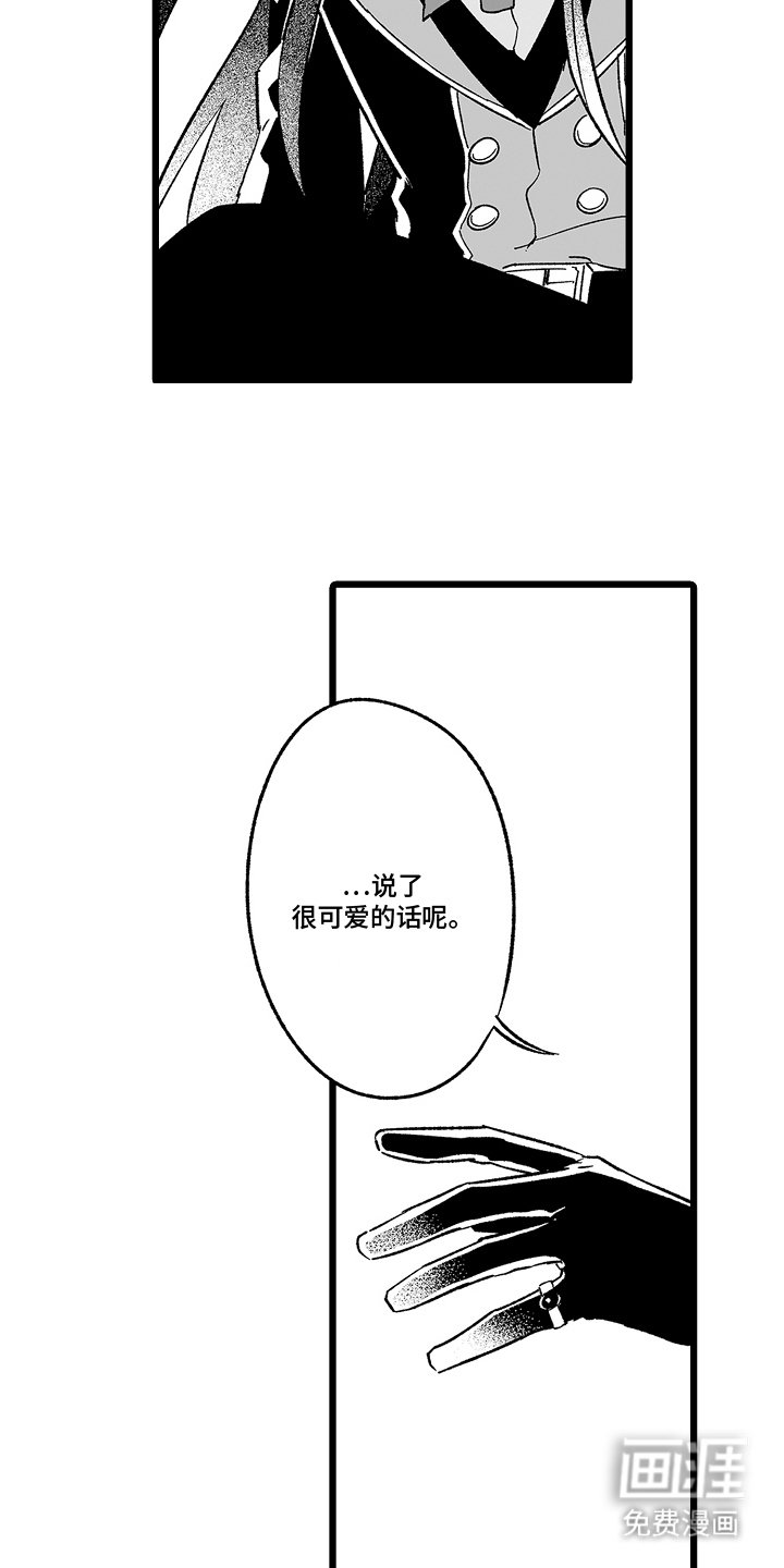 第17章：真假