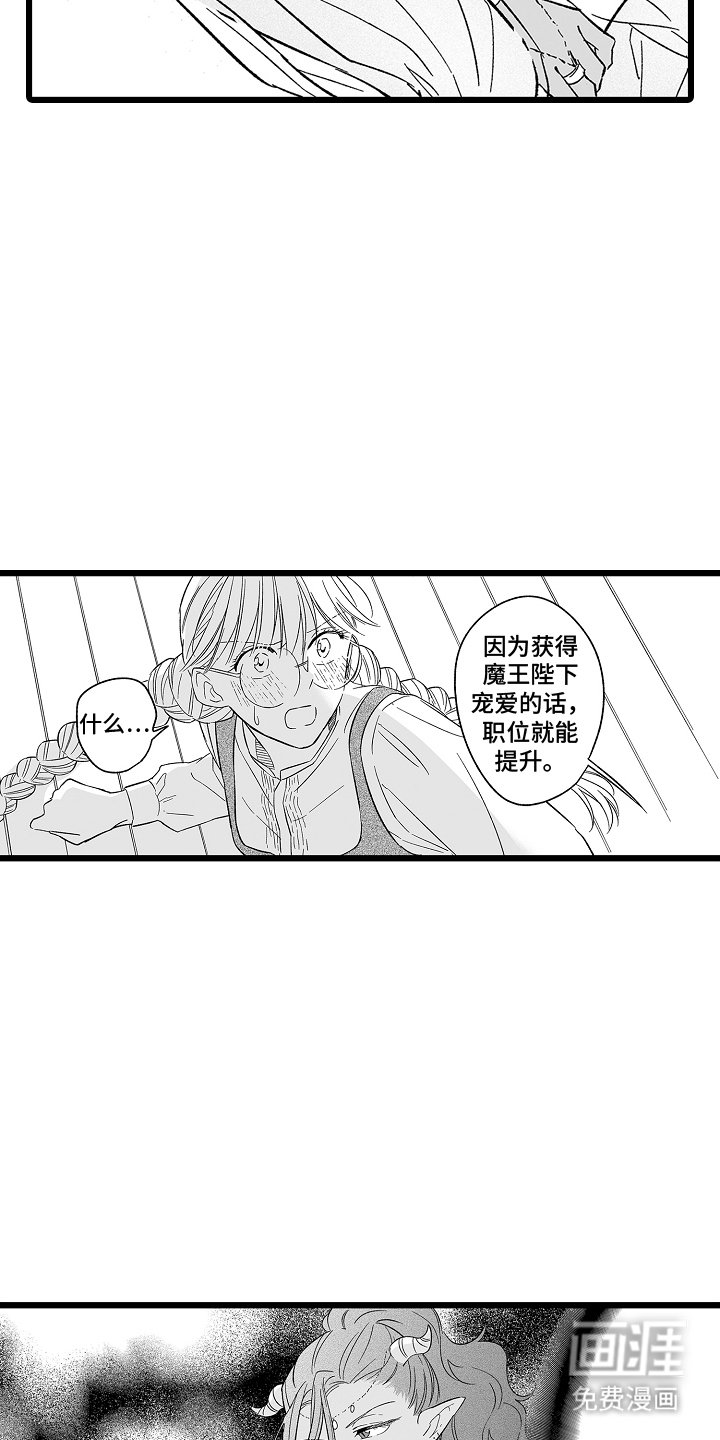 第20章：变身术