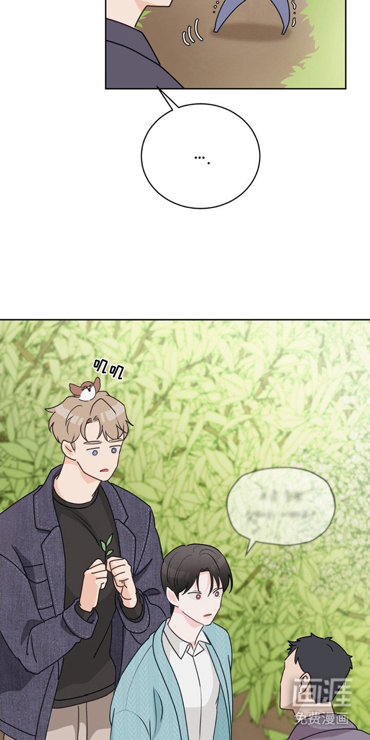 第12章：晴天霹雳