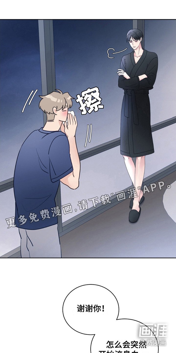 第13章：负责任