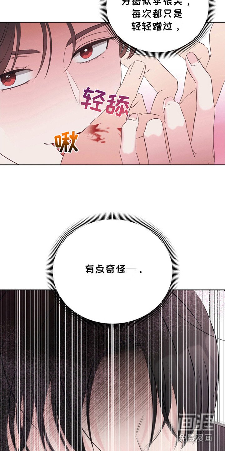 第15章：约定完成
