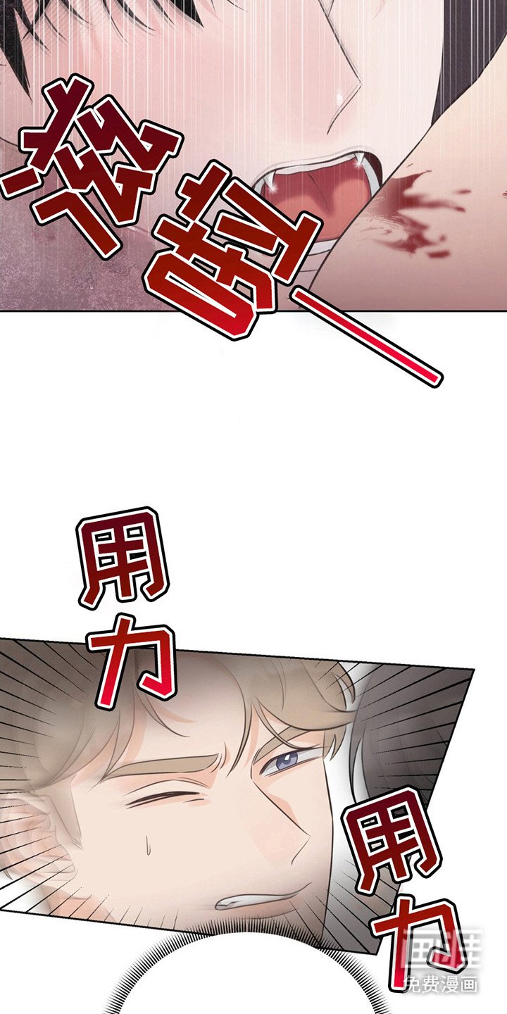 第15章：约定完成