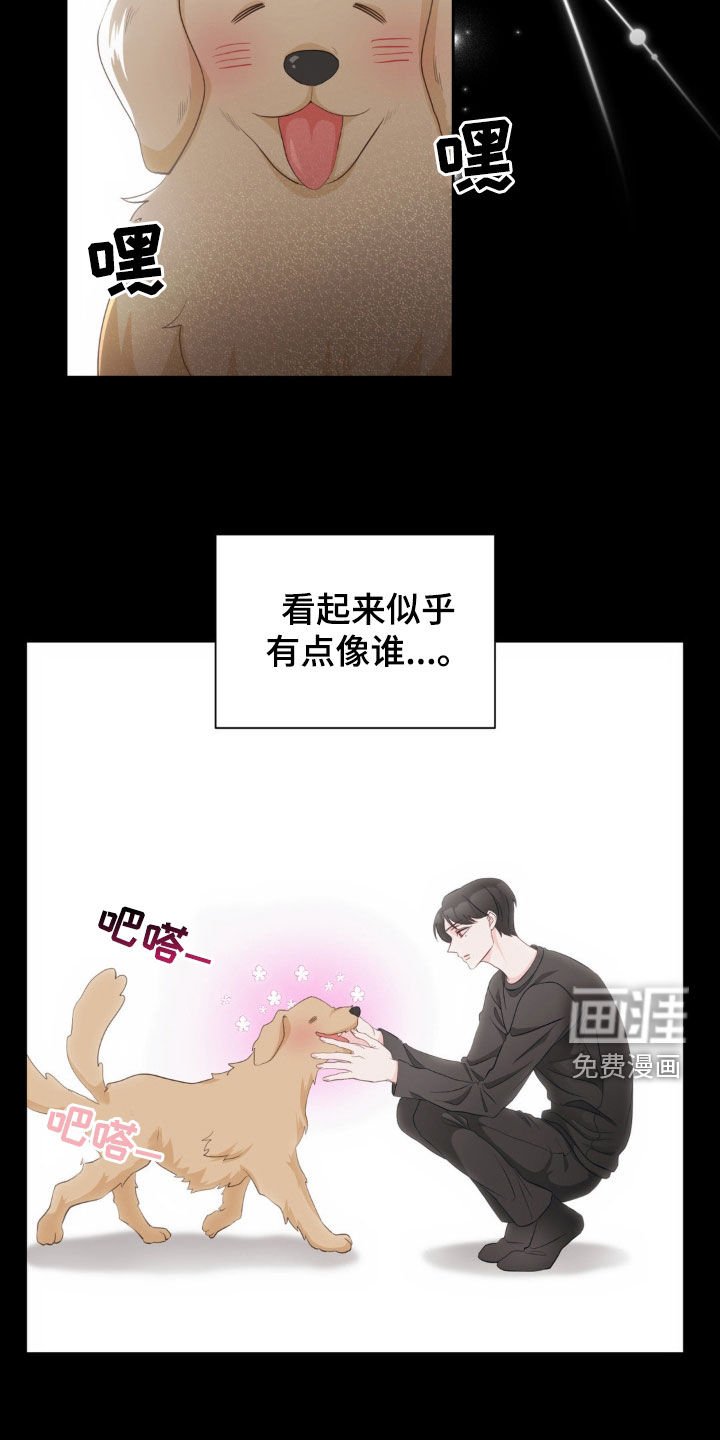 第16章：好累