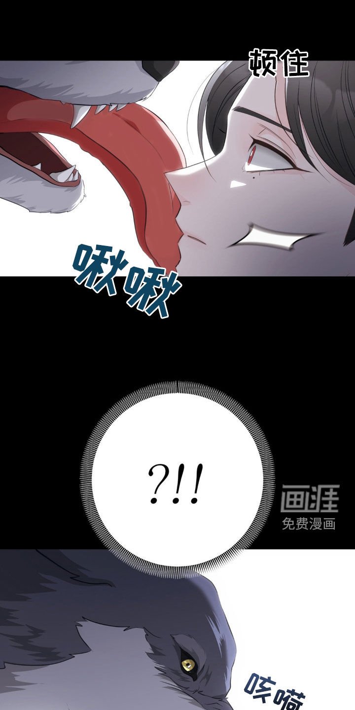 第16章：好累