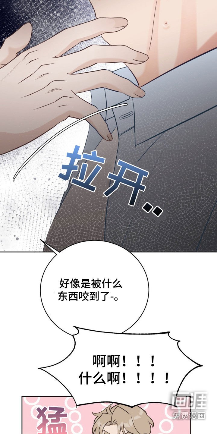 第18章：时尚