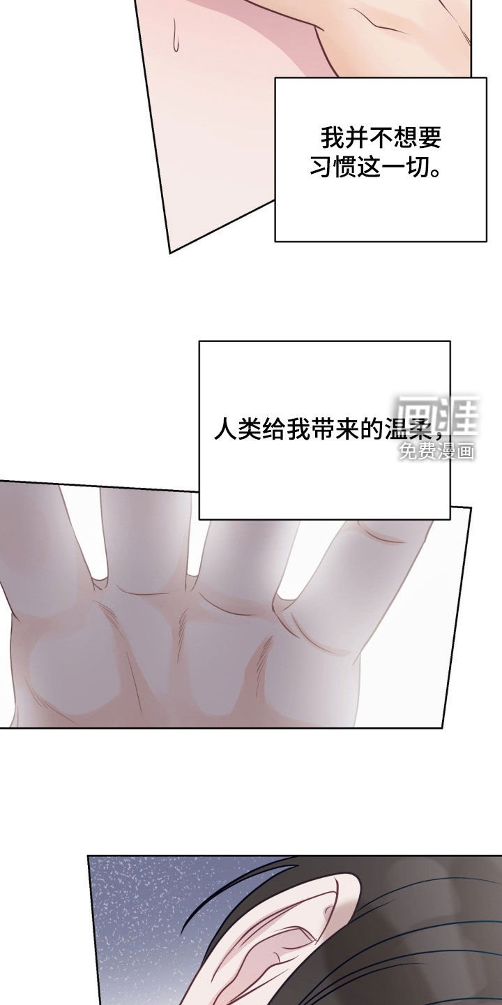 第30章：稍瞬即逝的光