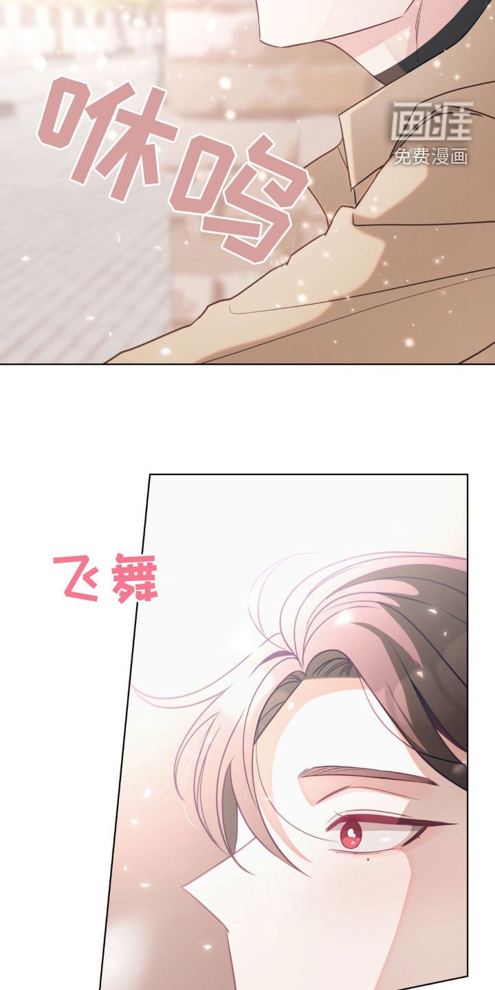 第33章：太帅了