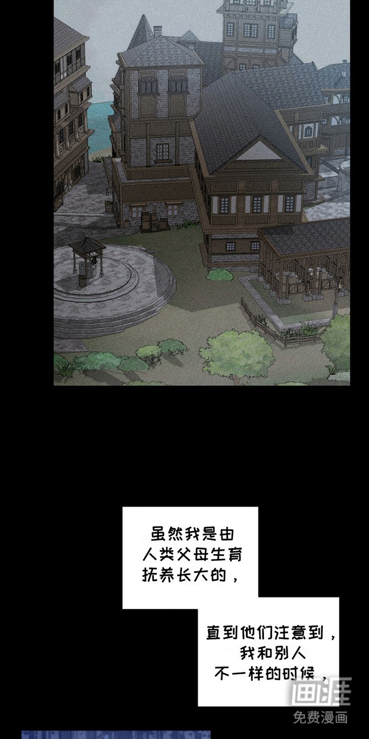 第4章：吸血鬼